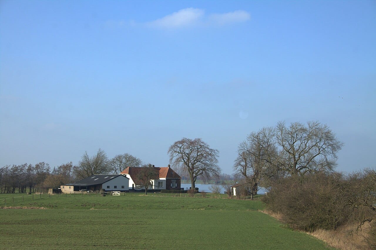 Natuur aan het water